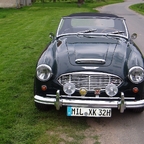 Manfreds coole Kisten - Austin Healey