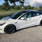 Model 3 Chrome Delete